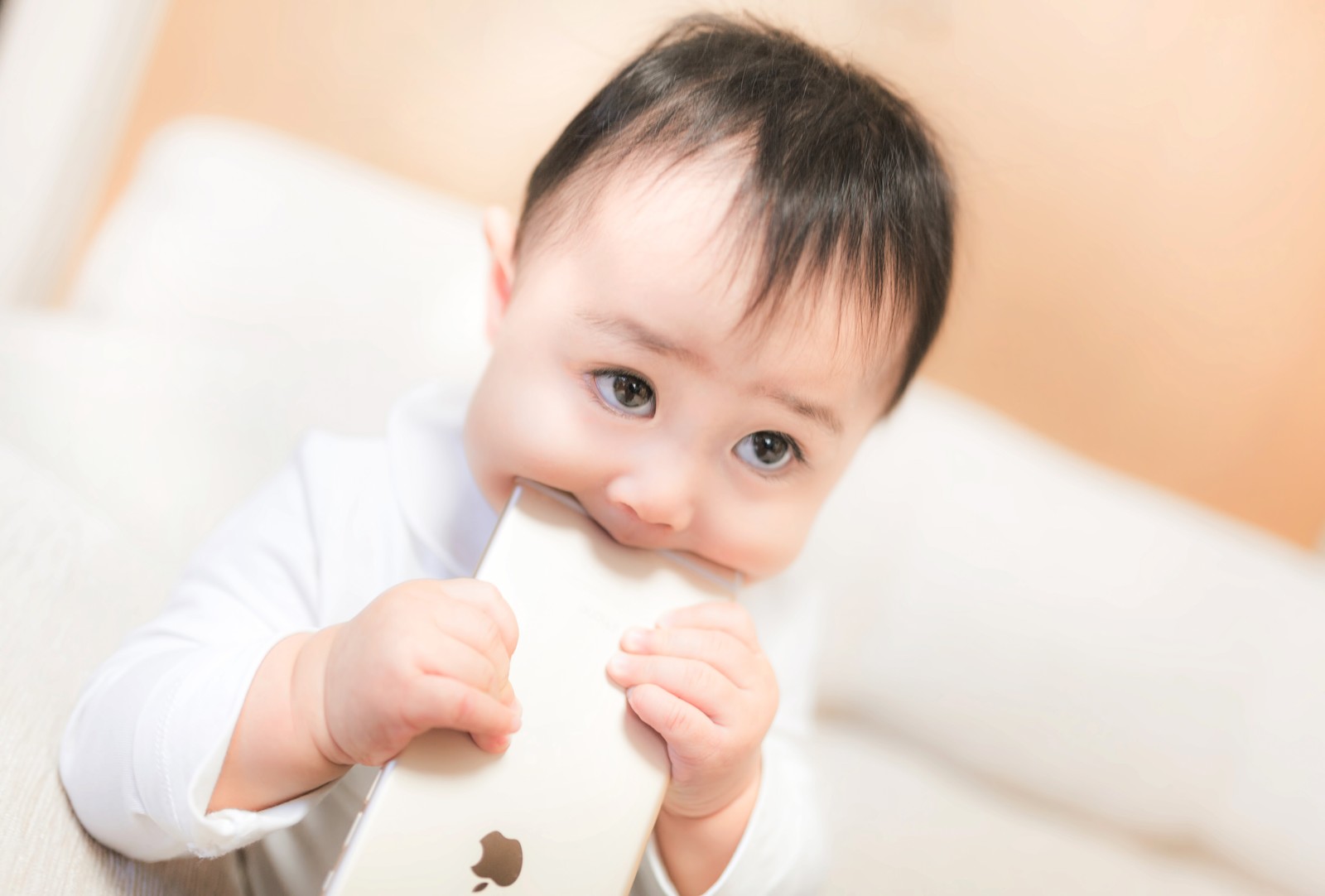 携帯電話をかじる赤ちゃん