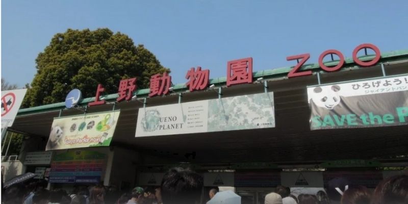 子供とまわる上野動物園のおすすめコース 主婦もがんばる