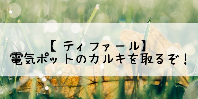 ティファール 電気ケトルのカルキを取りたい 主婦もがんばる